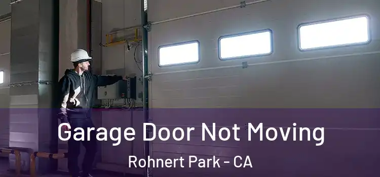  Garage Door Not Moving Rohnert Park - CA