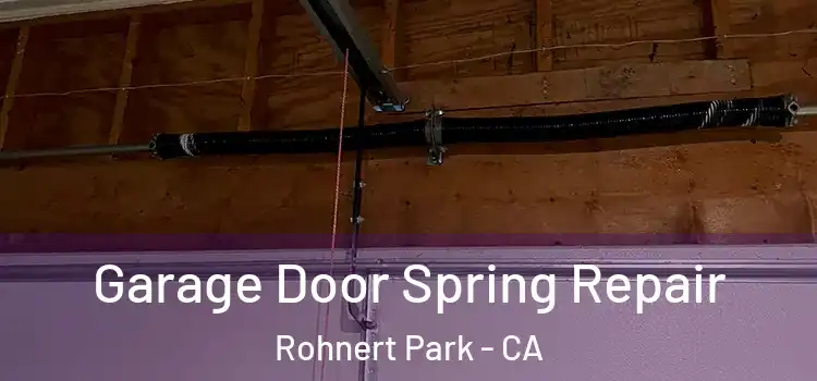  Garage Door Spring Repair Rohnert Park - CA