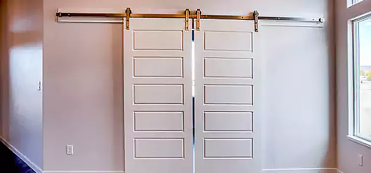 Glass Barn Door with Installation Hardware Kit Rohnert Park