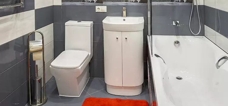 Hansgrohe Shaving Mirror Rohnert Park